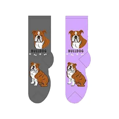 Bulldog Socks