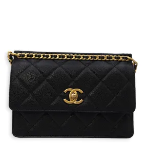 Seasonal Flap with Chain 21x15x7.5cm Black Crossbody Bag in Caviar Leather, Gold hardware